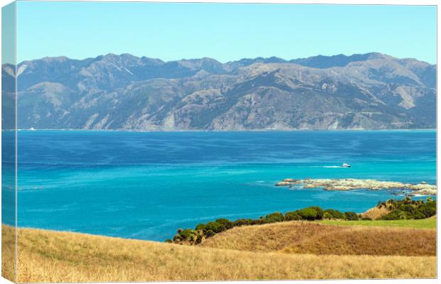 View from Kaikoura Peninsula, New Zealand Canvas Print by Hazel Wright