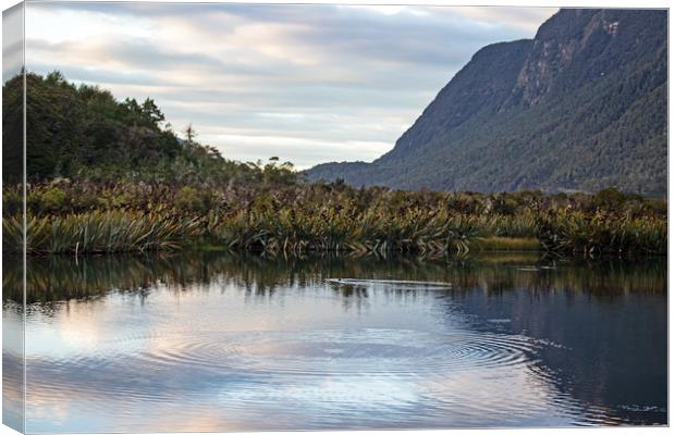Mirror lake, between Te Anua and Milford Sound, Ne Canvas Print by Hazel Wright