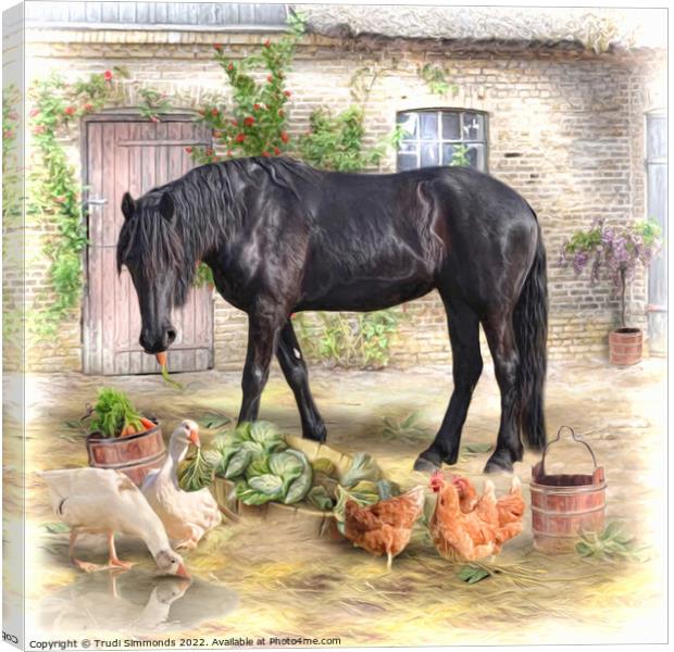 The Stable Yard Canvas Print by Trudi Simmonds