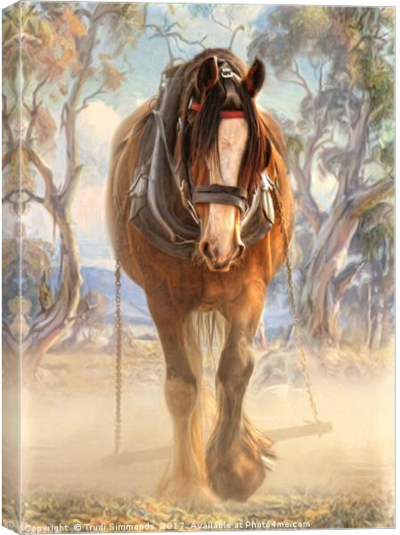Clydesdale Solo Canvas Print by Trudi Simmonds