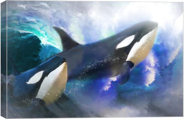 Orca Wild Canvas Print by Trudi Simmonds