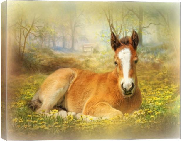 Foal in the Flowers Canvas Print by Trudi Simmonds