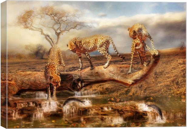 Cheetah Trio Canvas Print by Trudi Simmonds