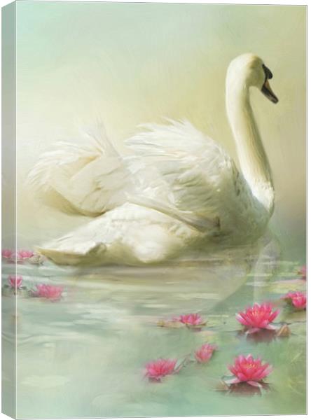 Swan Song Canvas Print by Trudi Simmonds