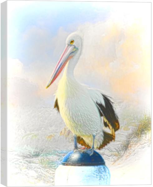 The Pelican Canvas Print by Trudi Simmonds