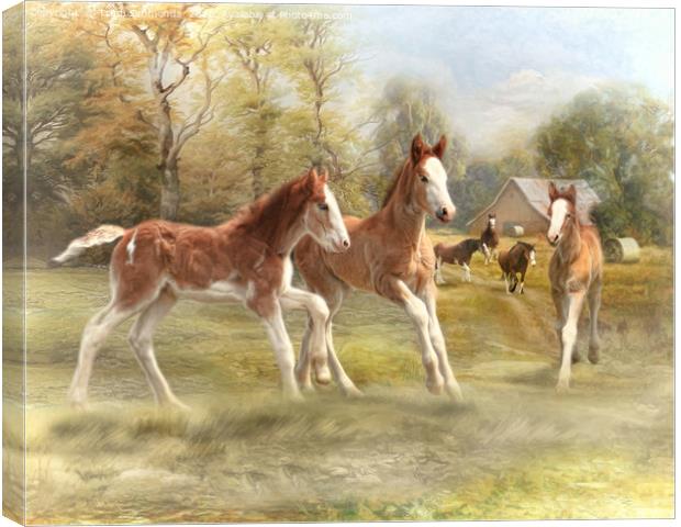 Foal Fun at Form Farm Canvas Print by Trudi Simmonds