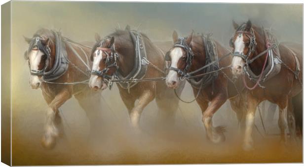 Four in the Field Canvas Print by Trudi Simmonds