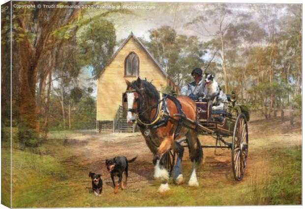 Sunday Driver Canvas Print by Trudi Simmonds