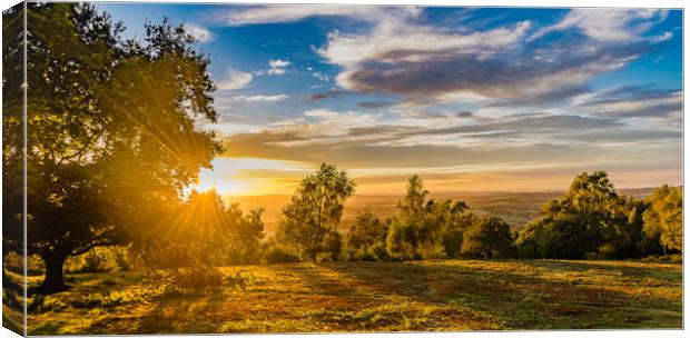 Sunset on May Hill Canvas Print by Jaromir Ondra