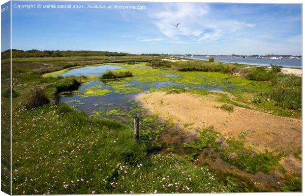 Mudeford Spit #6 Canvas Print by Derek Daniel