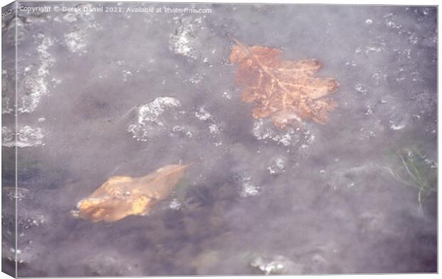 Frozen Leaves Canvas Print by Derek Daniel