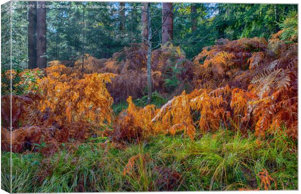 Golden Bracken Canvas Print by Derek Daniel