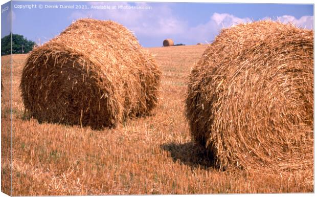 Golden Haybales Canvas Print by Derek Daniel