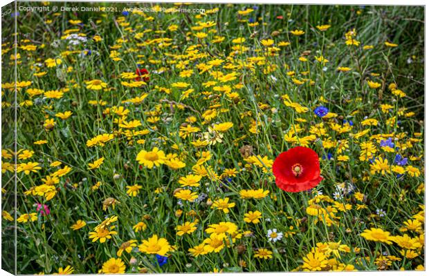 Vibrant Wildflower Meadow Canvas Print by Derek Daniel