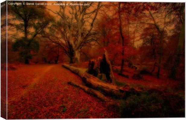 Enchanted Autumn Forest Canvas Print by Derek Daniel