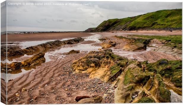 Spittal Beach Canvas Print by Derek Daniel