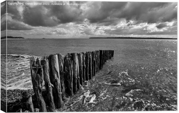 The Untamed Beauty of Lepe Beach Canvas Print by Derek Daniel