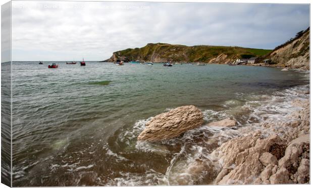 Lulworth Cove Canvas Print by Derek Daniel