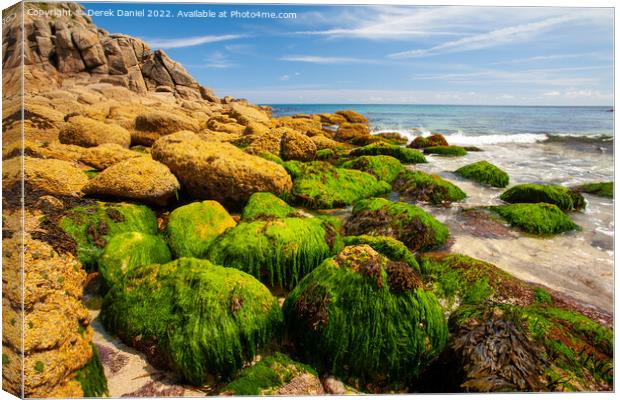 Porthgwarra, Cornwall  Canvas Print by Derek Daniel