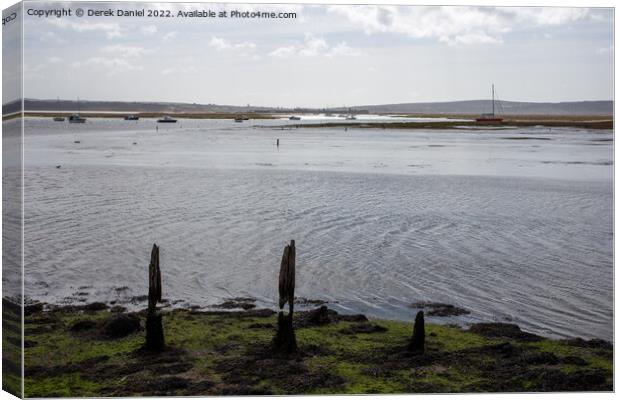 Looking Out Over The Solent At Keyhaven Canvas Print by Derek Daniel