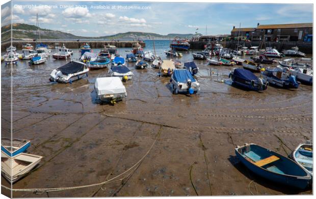 Lyme Regis Harbour Canvas Print by Derek Daniel