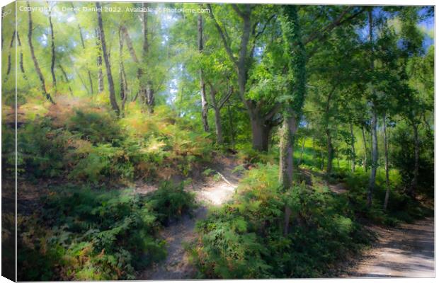 Pathway through the mystical forest Canvas Print by Derek Daniel