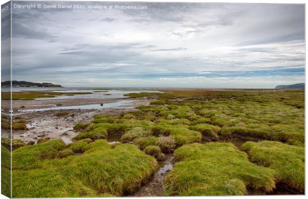 Pentraeth Beach, Red Wharf Bay Canvas Print by Derek Daniel