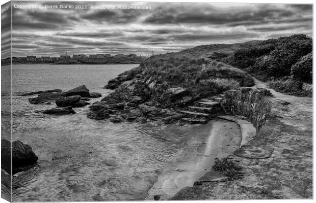 a few steps to the beach (mono) Canvas Print by Derek Daniel