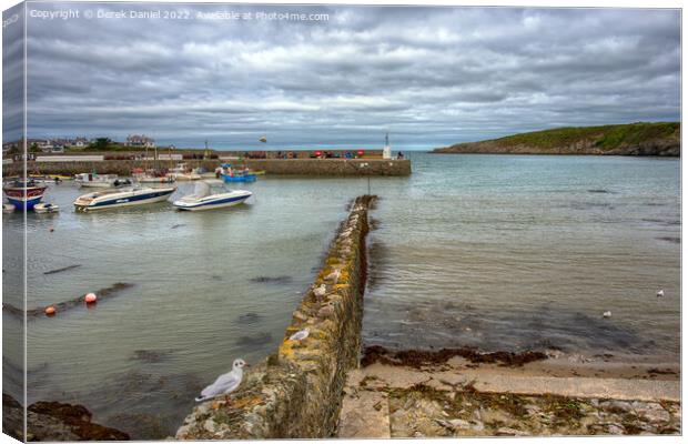 Seagulls along the wall #2 Canvas Print by Derek Daniel