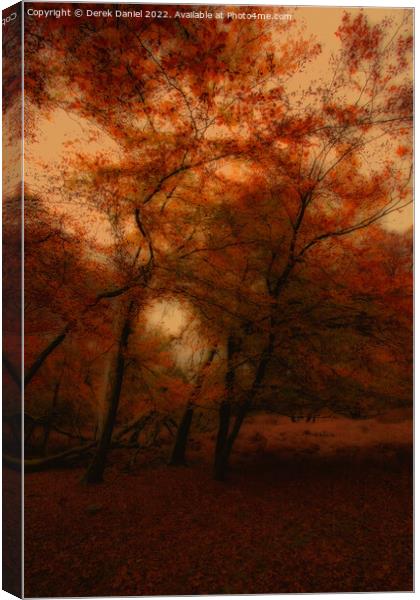 Autumn Forest Scene Canvas Print by Derek Daniel