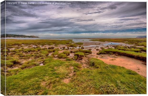 Picturesque Pentraeth  Canvas Print by Derek Daniel