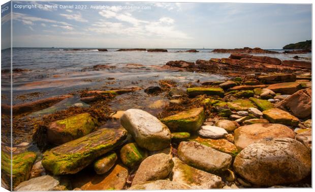 Sublime Jurassic Coastline Canvas Print by Derek Daniel