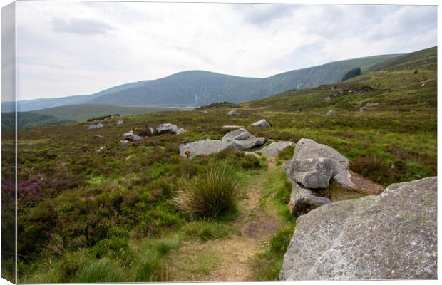 The Breathtaking Wicklow Gap Canvas Print by Derek Daniel