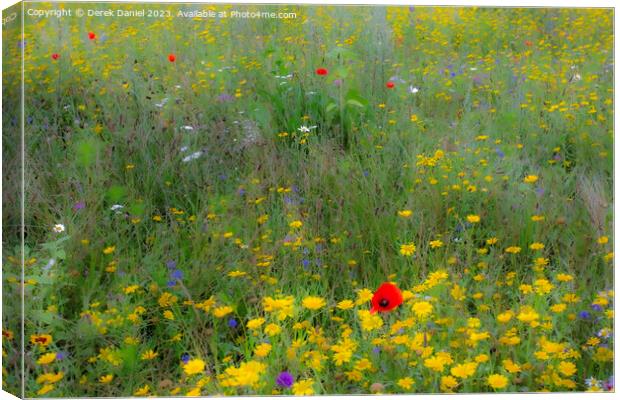 Dreamy Meadow Flowers Canvas Print by Derek Daniel