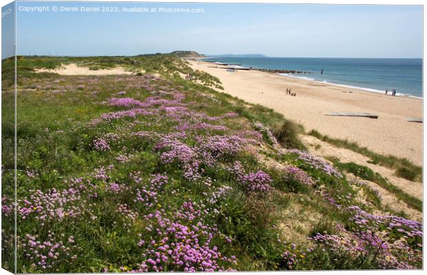 Sea Thrift above Southbourne beach Canvas Print by Derek Daniel