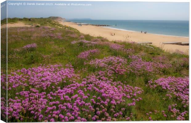 Sea Thrift above Southbourne beach Canvas Print by Derek Daniel