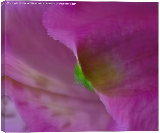 Enchanting Symphony of Violet Floral Elegance Canvas Print by Derek Daniel