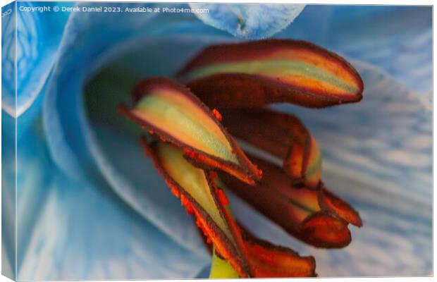 Ethereal Lily in Abstract Canvas Print by Derek Daniel
