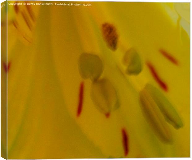 Abstract  Flower Canvas Print by Derek Daniel