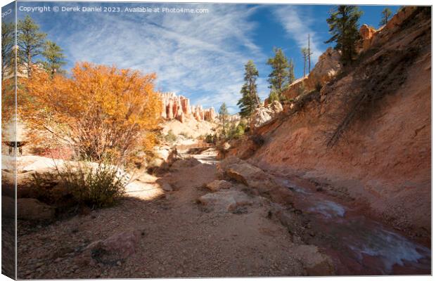 Mossy Cave Trail Canvas Print by Derek Daniel