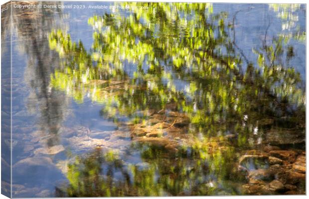 Leaf Reflection, Yosemite Canvas Print by Derek Daniel