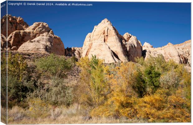 Capitol Reef National Park Canvas Print by Derek Daniel