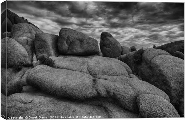 Joshua Tree National Monument Canvas Print by Derek Daniel