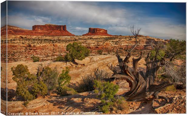 Capitol Reef, Utah  Canvas Print by Derek Daniel