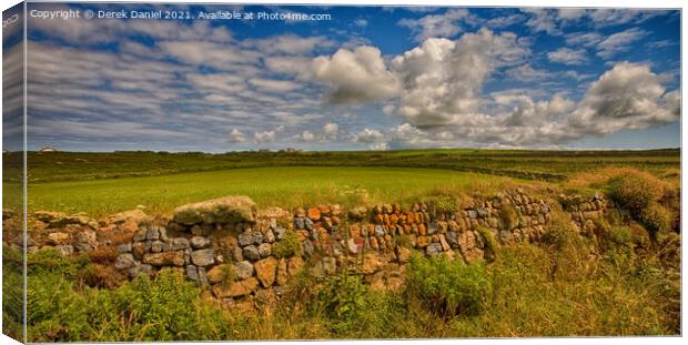 Lichen covered stone wall, Cornwall Canvas Print by Derek Daniel