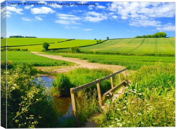 River Misbourne, near Amersham in Spring Canvas Print by David Brown