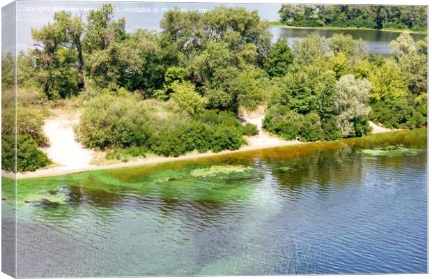 Along the river bank on the surface, the water is covered with a film of blue-green algae. Copy space. Canvas Print by Sergii Petruk