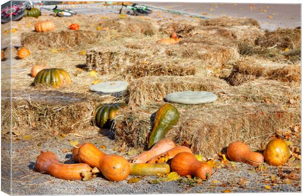 Orange pumpkins lie among sheaves of hay on a playground in an autumn city park. Canvas Print by Sergii Petruk