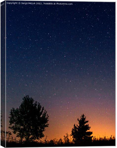 Silhouettes of low trees against the background of the night starry sky and the setting sun. Canvas Print by Sergii Petruk