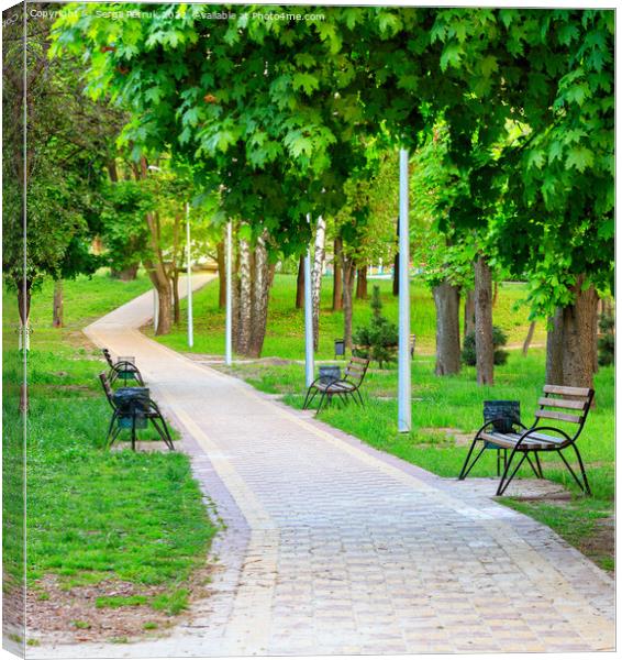 Vibrant green foliage surrounds wooden benches in a picturesque urban summer park along a cobbled walkway. Canvas Print by Sergii Petruk